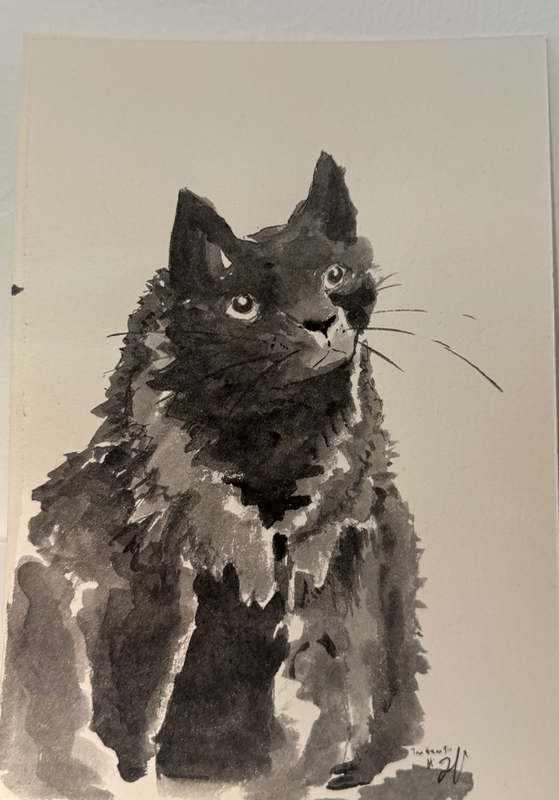 Paint your Pet 4