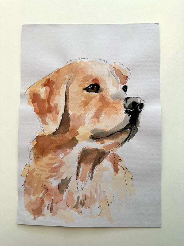 Paint your Pet 2