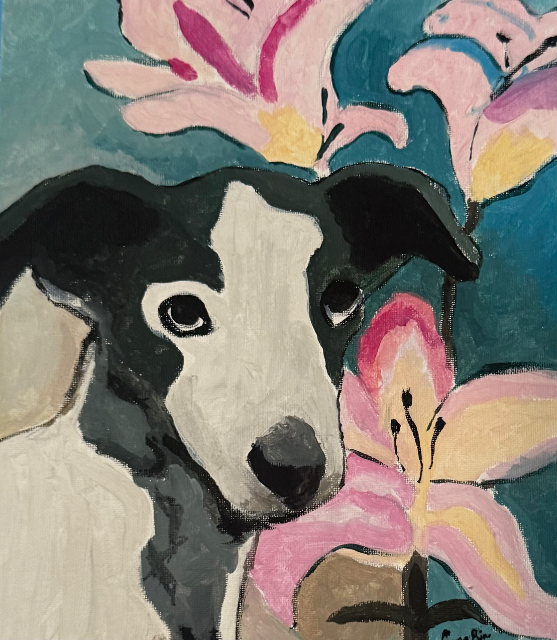 Paint your Pet 4
